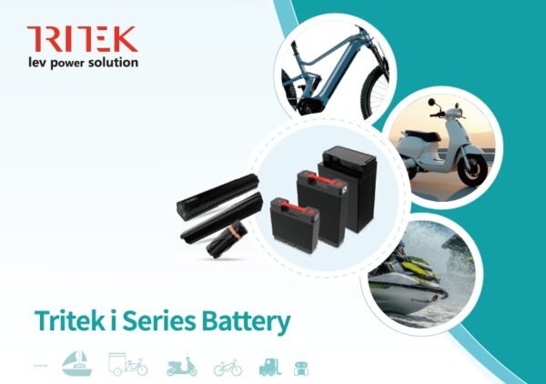 lev battery