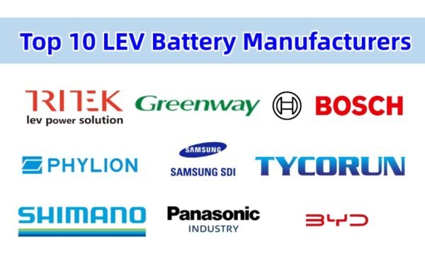 top 10 lev battery manufacturers