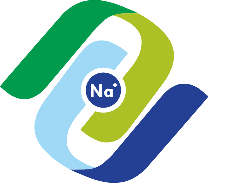 China Sodium Times